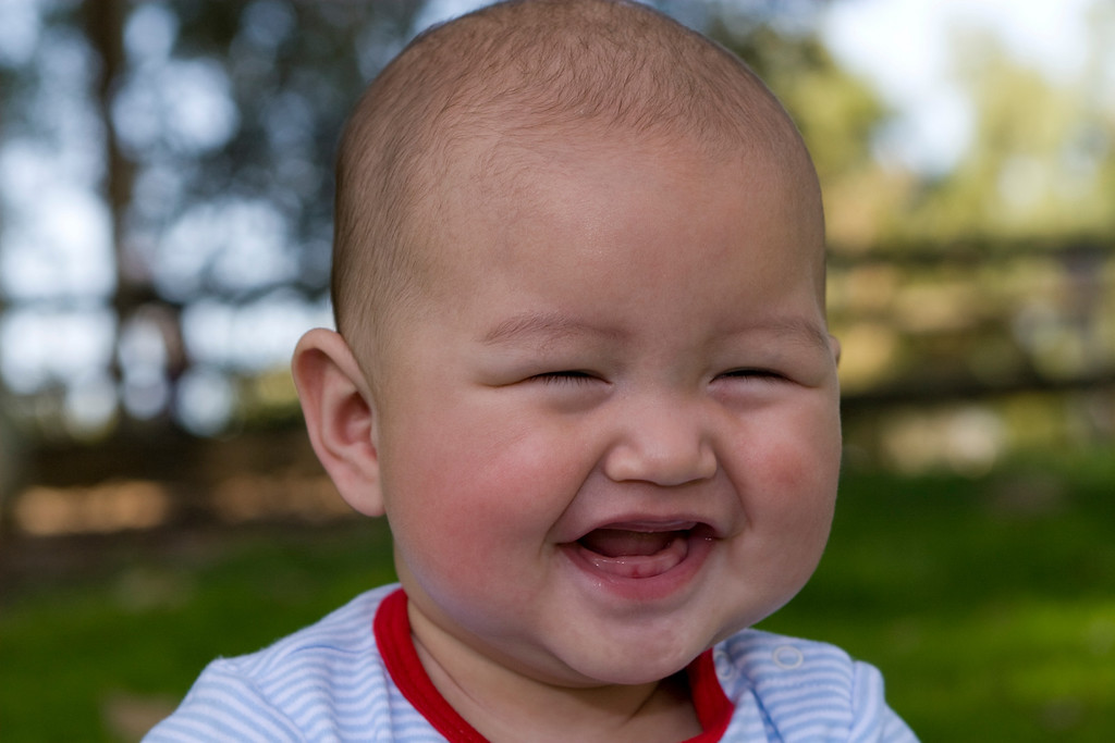 IMAGE: http://mrigsby.smugmug.com/Family/Chinese-New-year/IMG0869/788754861_bDgZX-XL.jpg