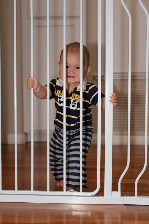 IMAGE: http://mrigsby.smugmug.com/Family/Zane-new/MG5722-2/841747505_zJv7U-XL.jpg