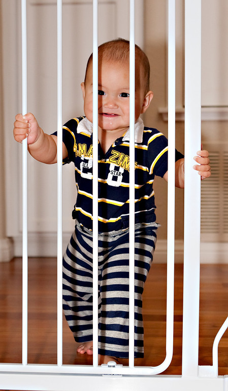 IMAGE: http://mrigsby.smugmug.com/Family/Zane-new/MG5722/841733694_BBCKU-XL.jpg