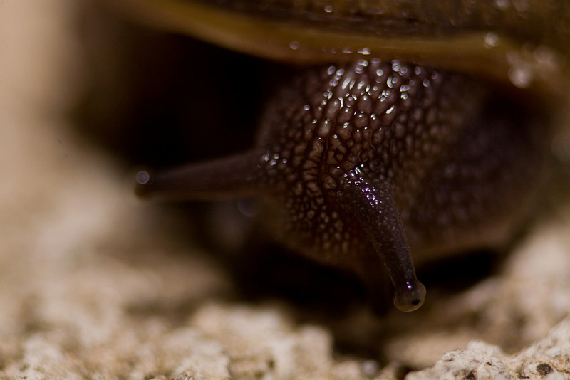 IMAGE: http://mrigsby.smugmug.com/photos/274505968_uAhug-L.jpg