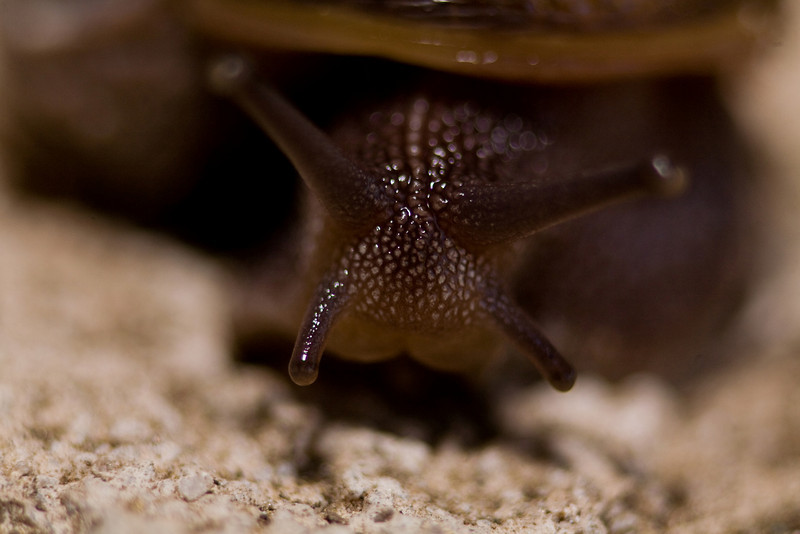 IMAGE: http://mrigsby.smugmug.com/photos/274507516_NjhZg-L.jpg