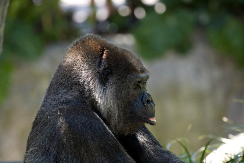 IMAGE: http://mrigsby.smugmug.com/photos/279532689_7VaHp-L.jpg