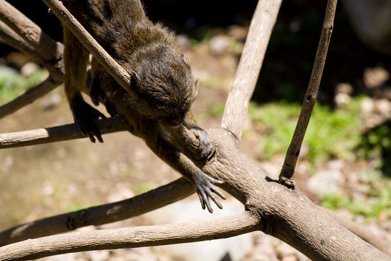 IMAGE: http://mrigsby.smugmug.com/photos/279537309_WJAdg-L.jpg