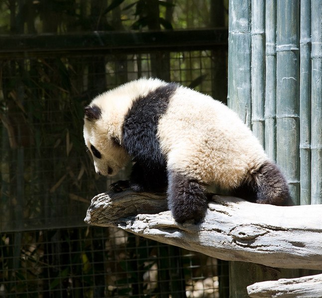 IMAGE: http://mrigsby.smugmug.com/photos/279551180_z3Qrb-L.jpg