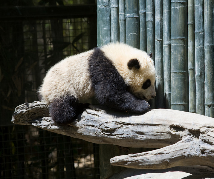 IMAGE: http://mrigsby.smugmug.com/photos/279551505_4TRGU-L.jpg