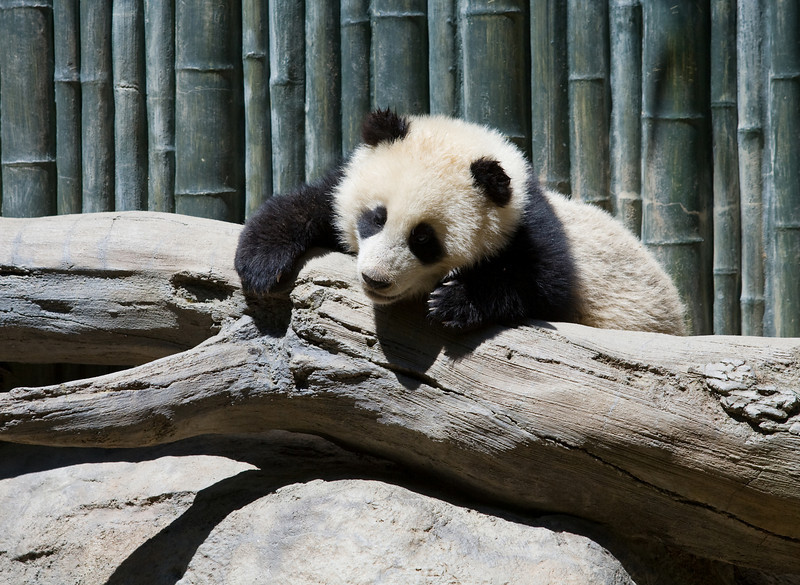 IMAGE: http://mrigsby.smugmug.com/photos/279551798_cUedt-L.jpg