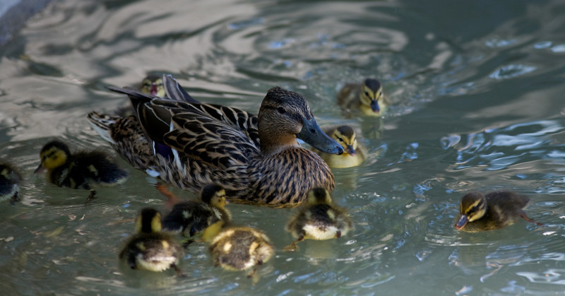 IMAGE: http://mrigsby.smugmug.com/photos/279556571_TXTe4-L.jpg