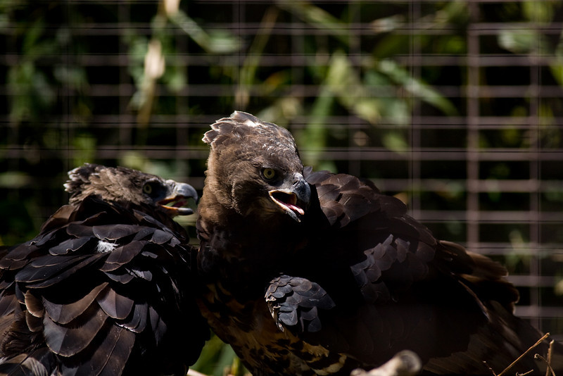 IMAGE: http://mrigsby.smugmug.com/photos/279556839_peeFh-L.jpg