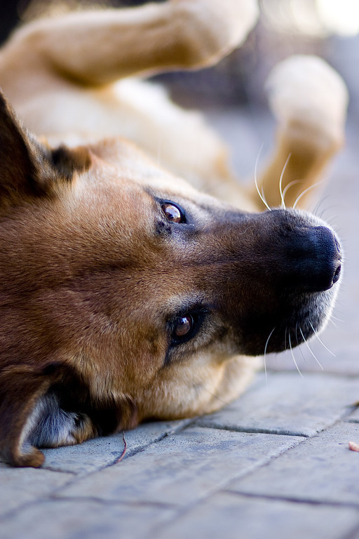 IMAGE: http://mrigsby.smugmug.com/photos/454981952_VVWaL-XL.jpg