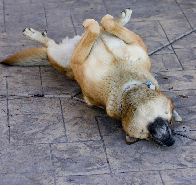 IMAGE: http://mrigsby.smugmug.com/photos/454982812_Xej3h-L.jpg